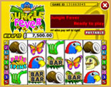 jungle fever bingocafe